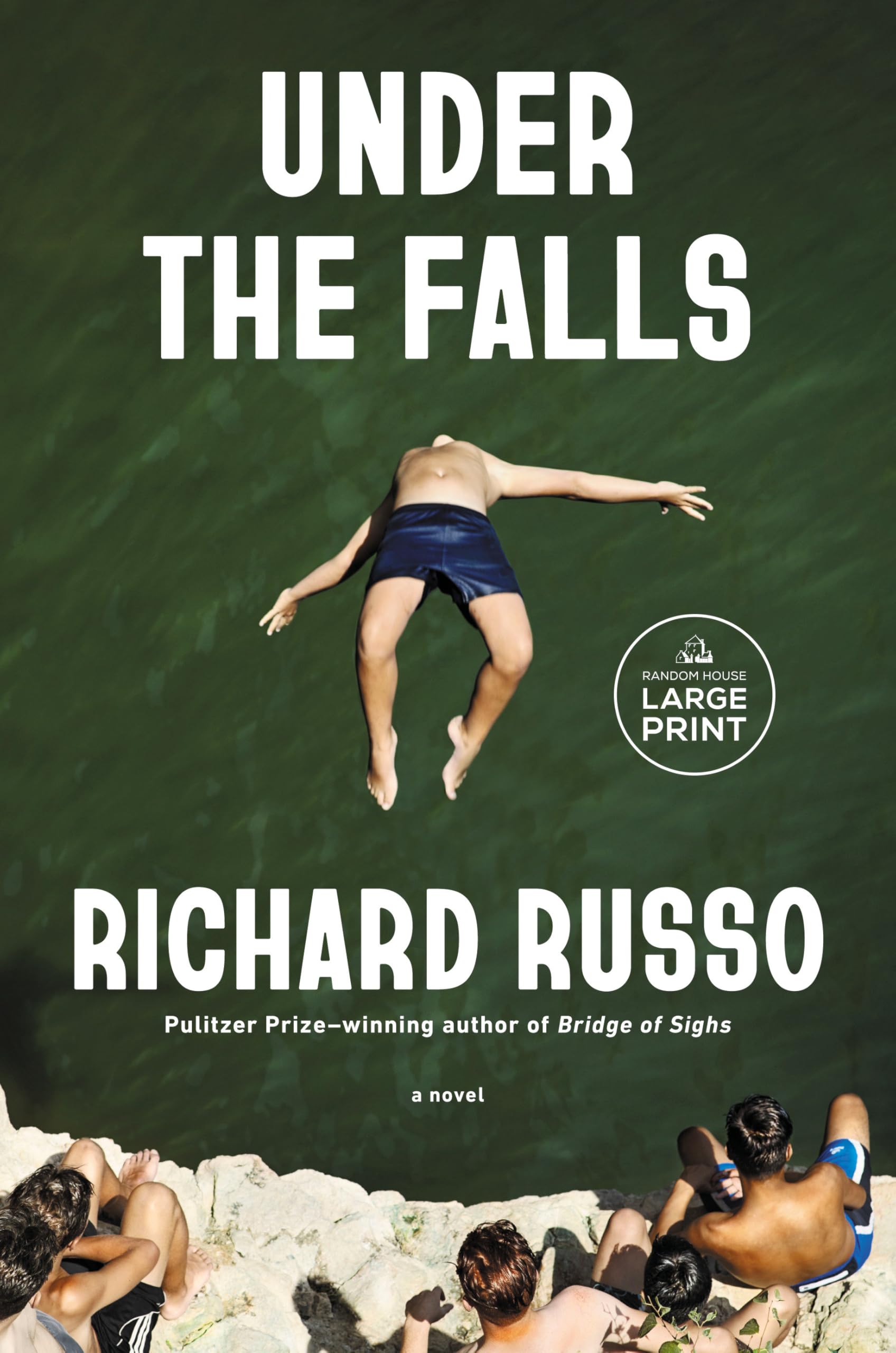 Under The Falls: A Novel