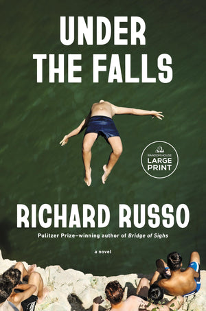Under The Falls: A Novel