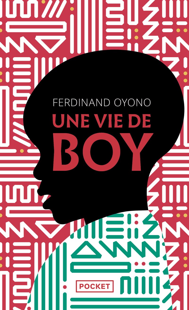Une Vie De Boy (French Edition),Used