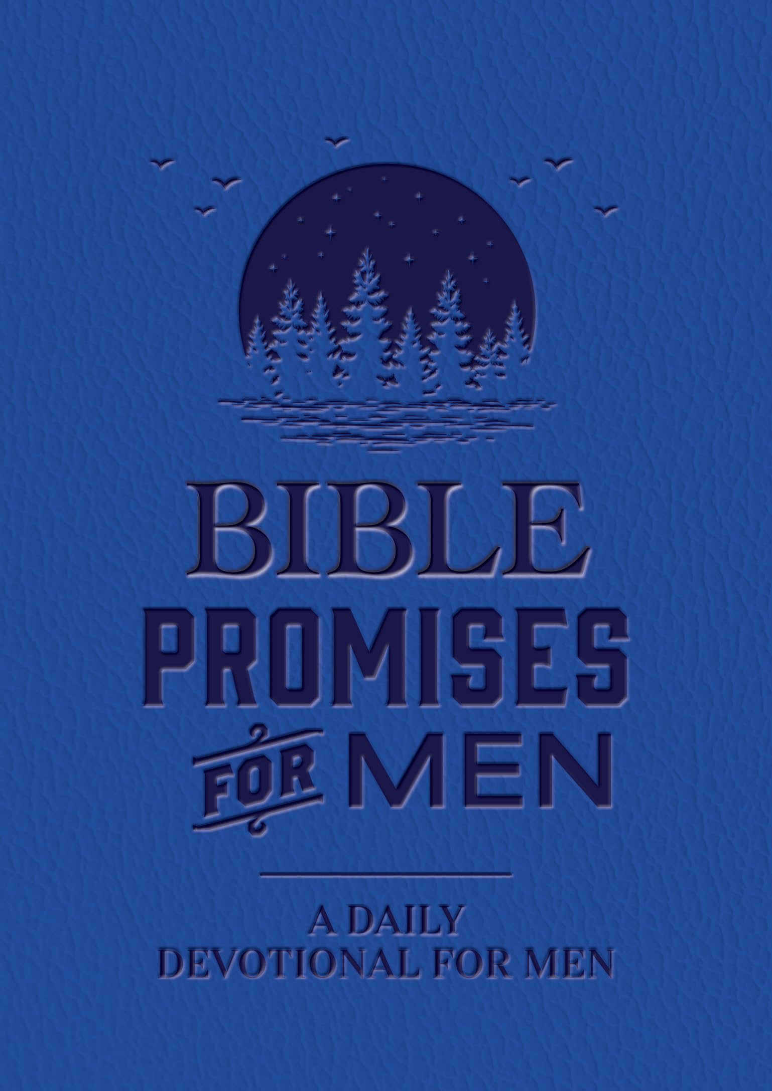 Bible Promises For Men: A Daily Devotional For Men