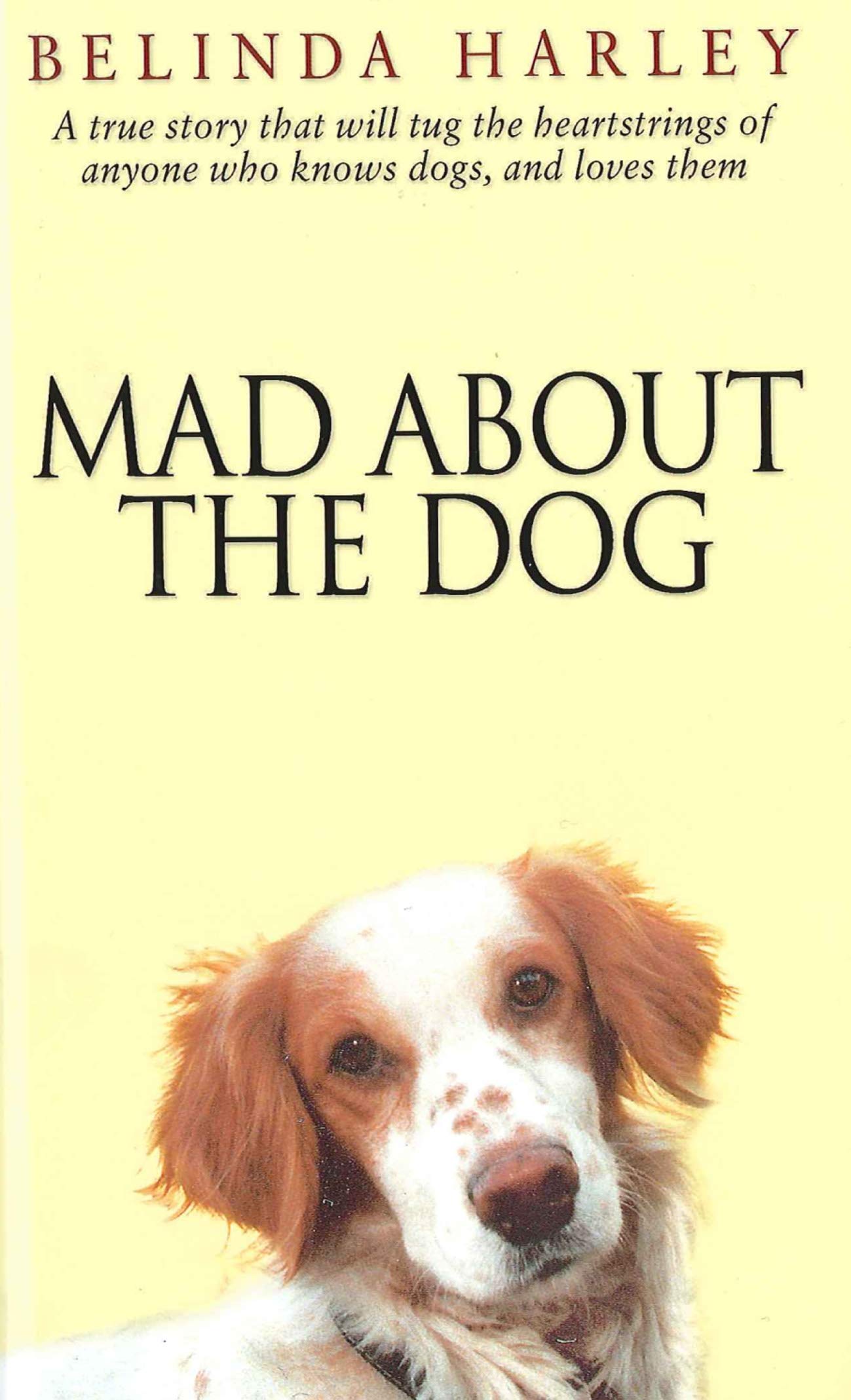 Mad About the Dog,Used