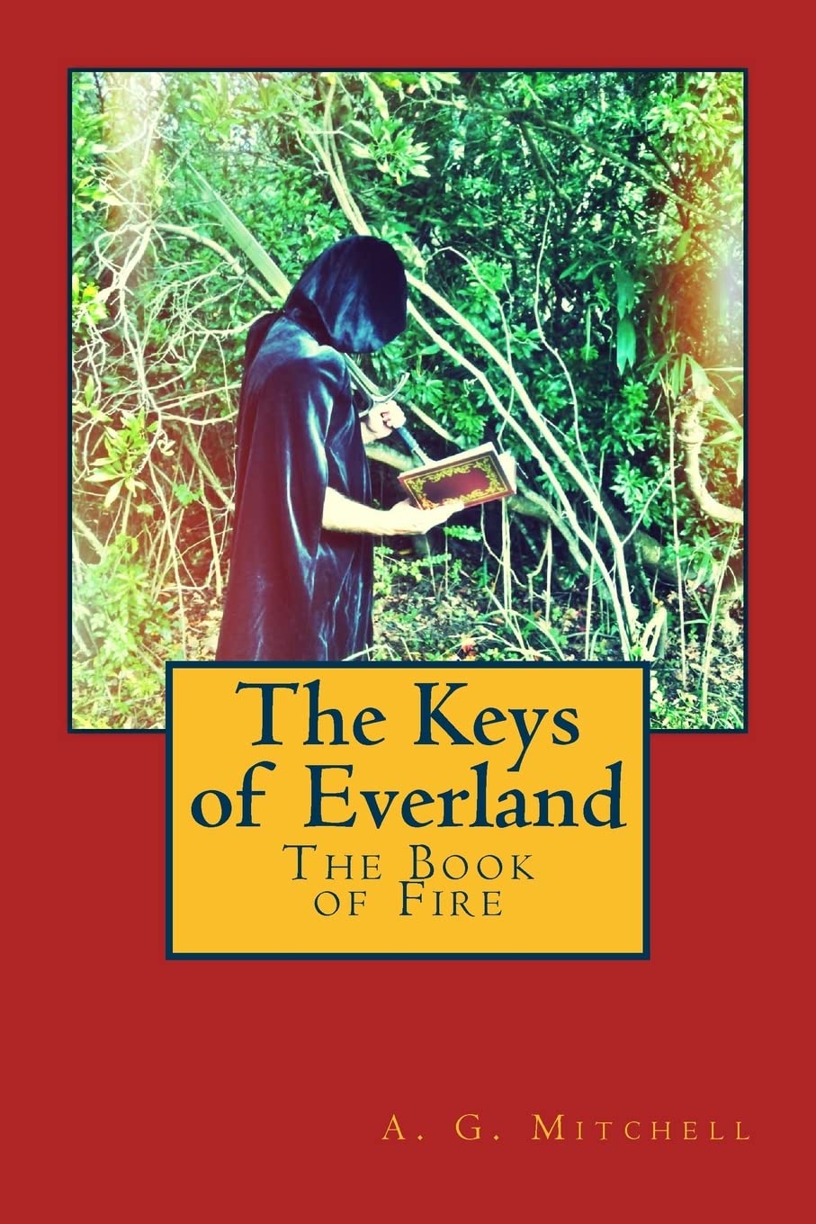 The Book Of Fire: The Keys Of Everland,Used