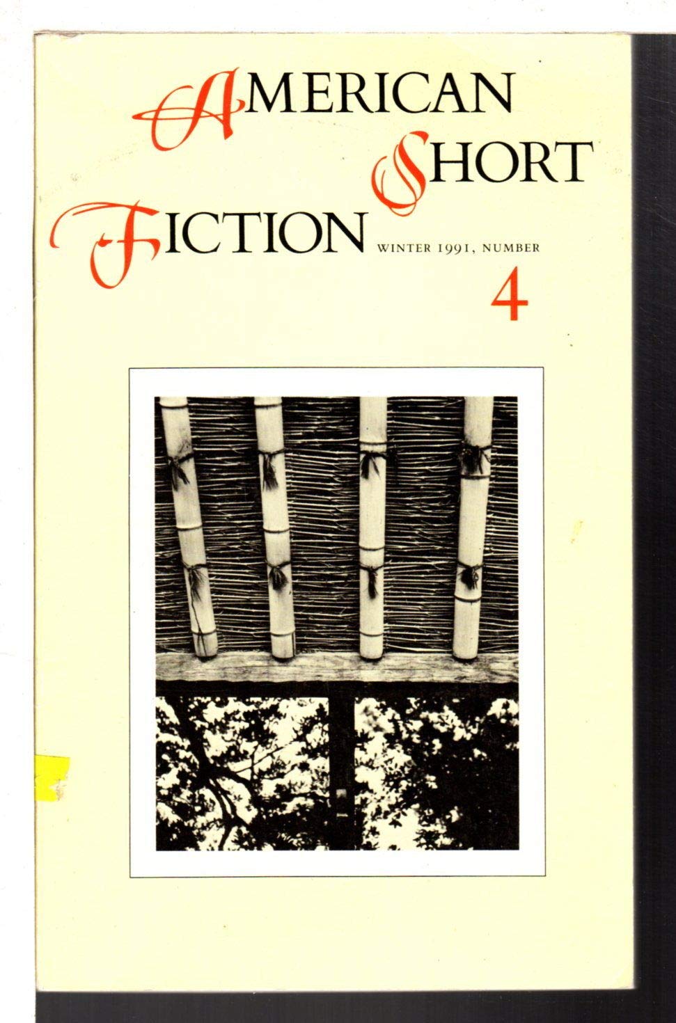 American Short Fiction,Used