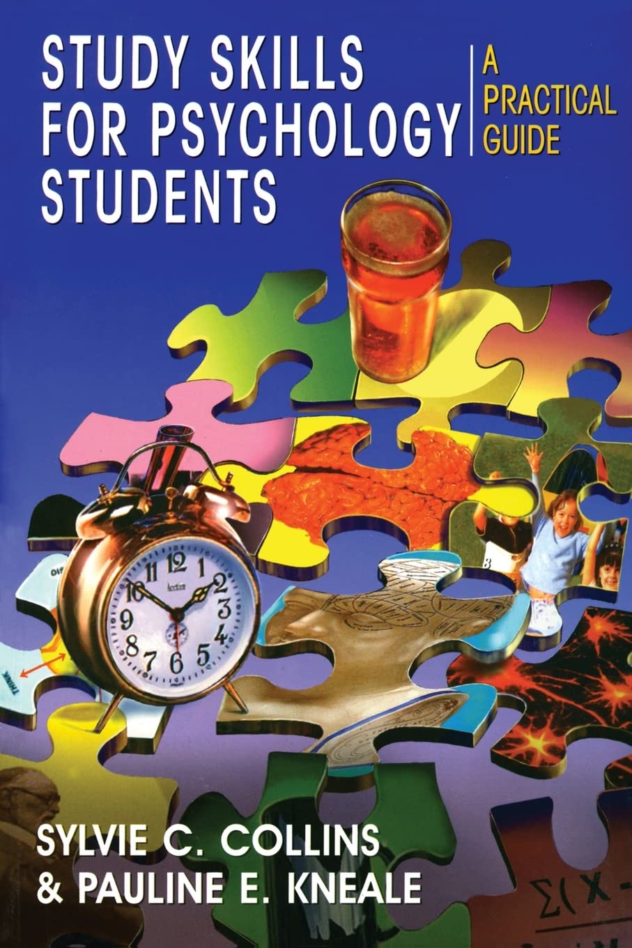 Study Skills for Psychology Students: A Practical Guide,Used