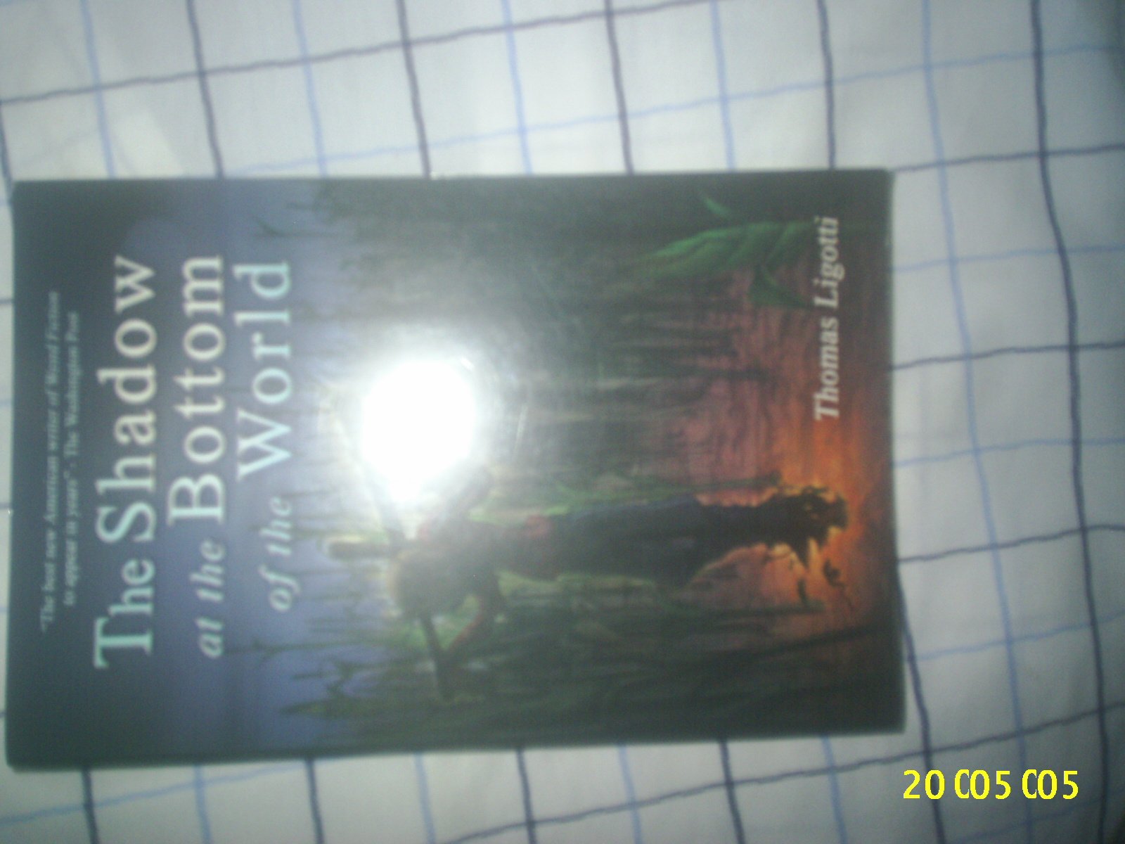 The Shadow At The Bottom Of The World