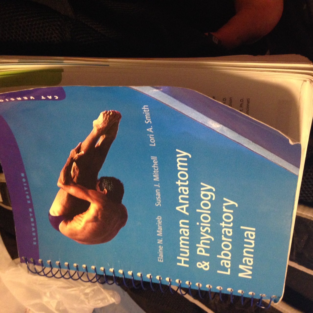 Human Anatomy & Physiology: Cat Version,New