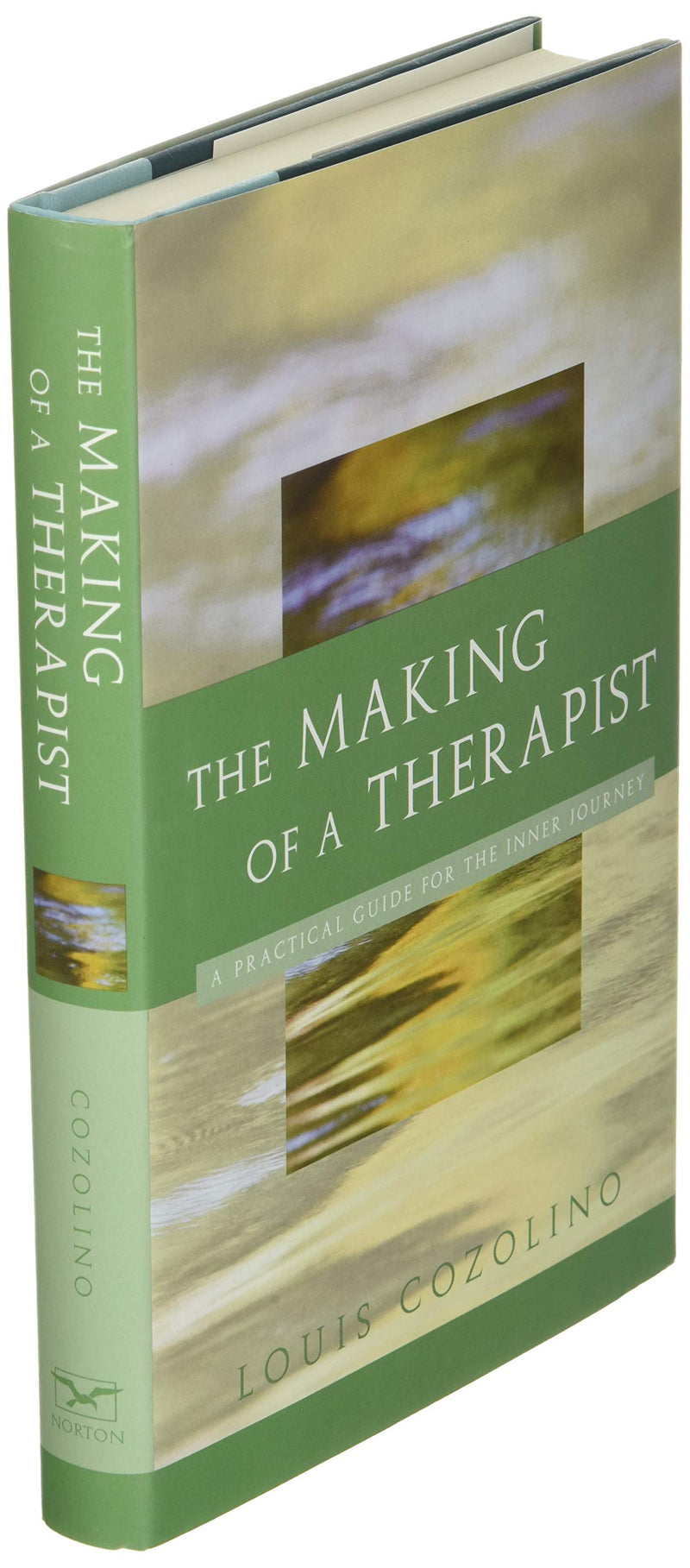 The Making of a Therapist by W. W. Norton & Company - Essential Guide for Aspiring Therapists and Mental Health Professionals