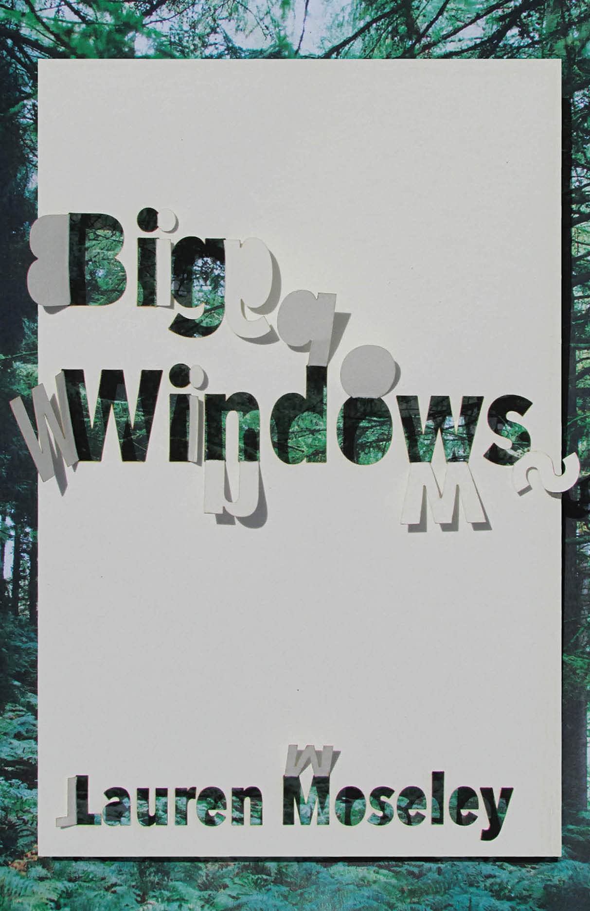 Big Windows (Carnegie Mellon Poetry),Used