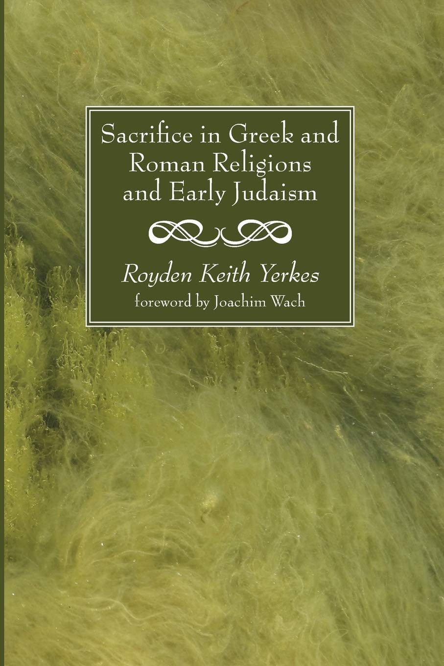 Sacrifice In Greek And Roman Religions And Early Judaism (The Hale Lectures),Used