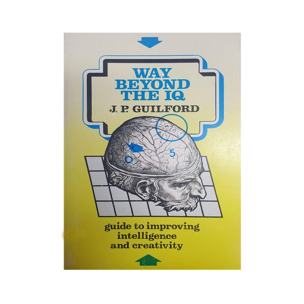 Way Beyond the IQ,Used