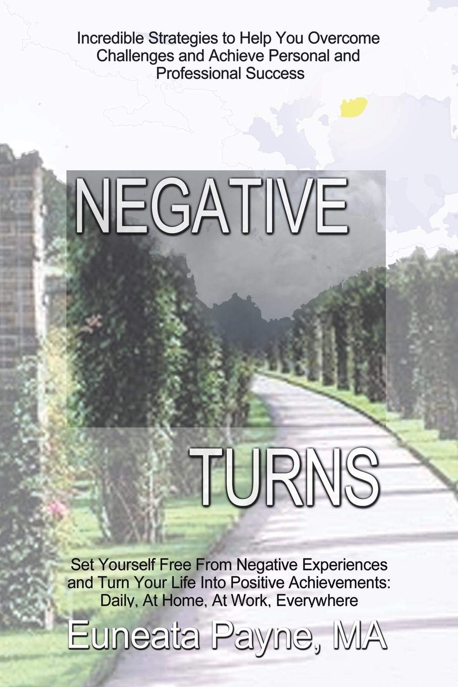 Negative Turns: Overcoming Personal and Professional Challenges,Used