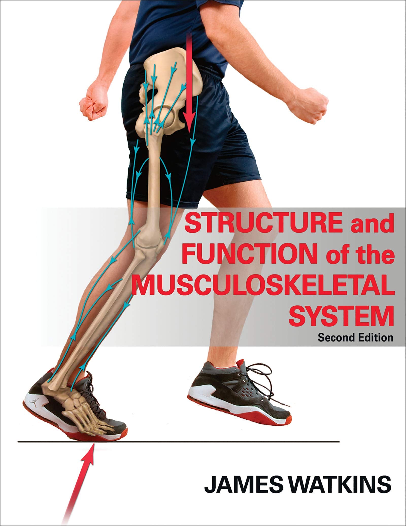 Structure and Function of the Musculoskeletal System,Used