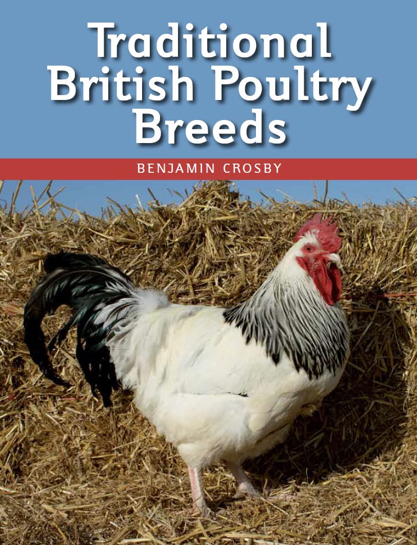 Traditional British Poultry Breeds,New