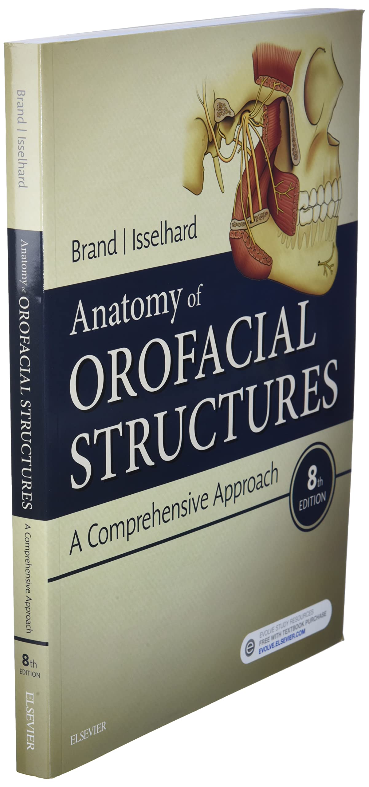 Anatomy Of Orofacial Structures,New