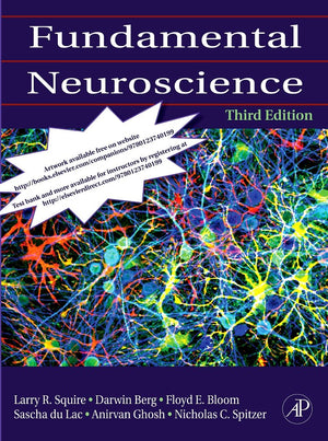 Fundamental Neuroscience,Used