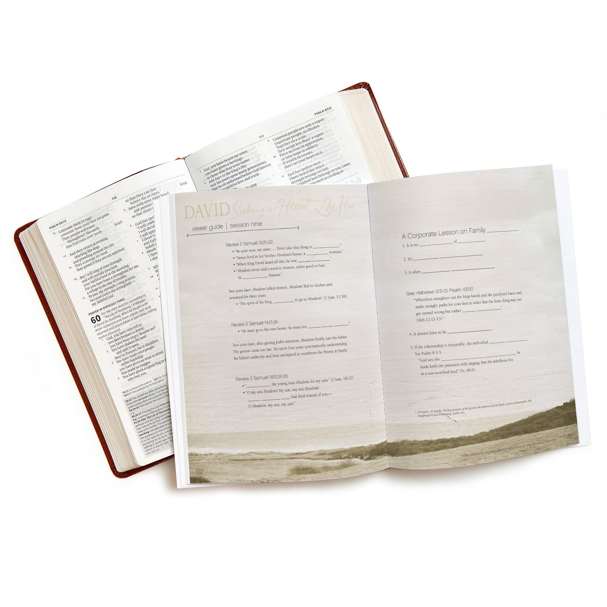 David  Bible Study Book (Updated Edition): Seeking a Heart Like His,Used