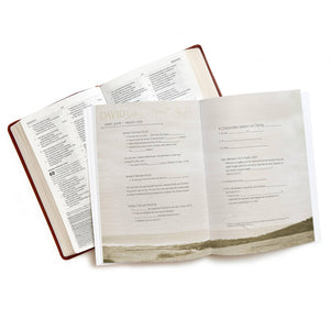 David  Bible Study Book (Updated Edition): Seeking a Heart Like His,Used