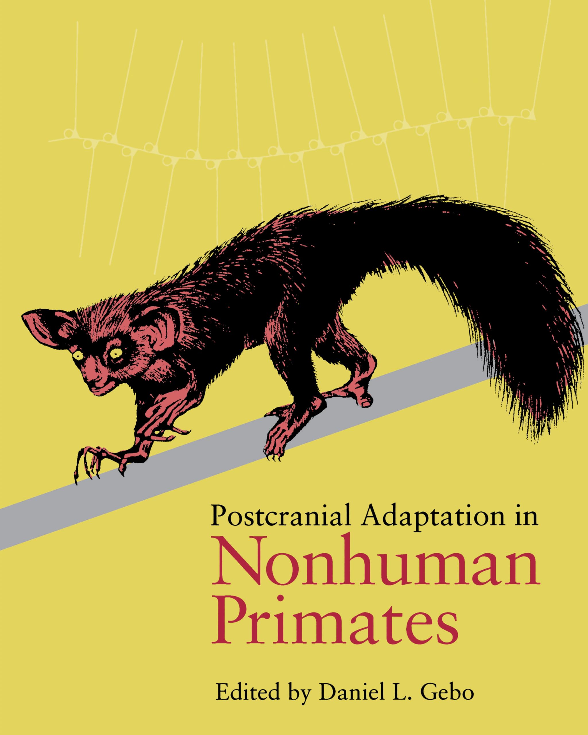 Postcranial Adaptation in Nonhuman Primates,Used