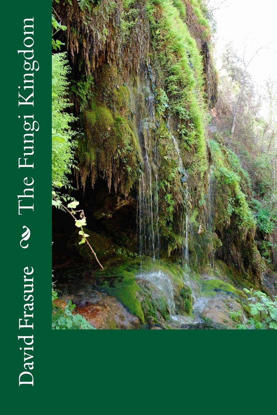The Fungi Kingdom,Used