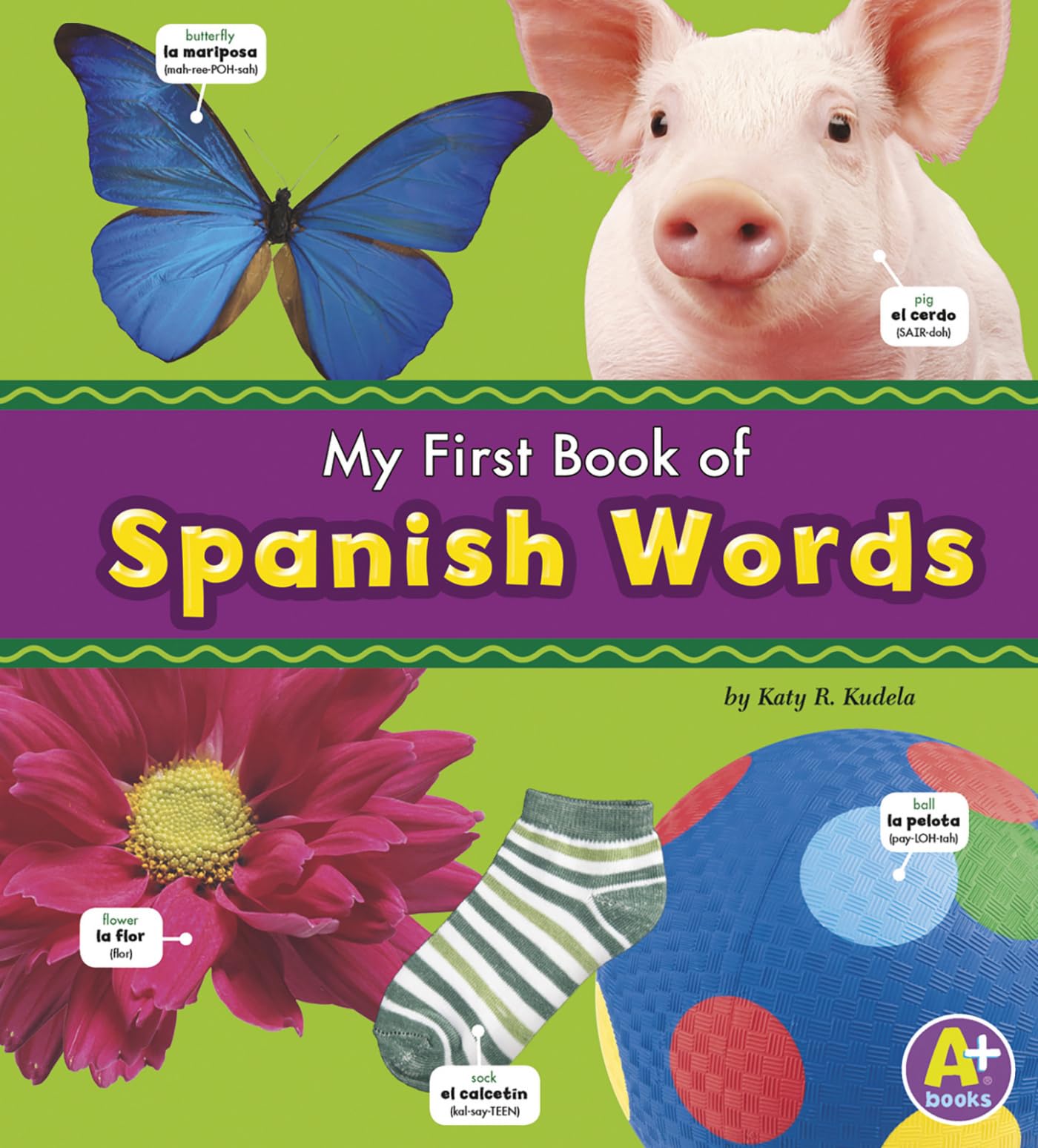 My First Book of Spanish Words (Bilingual Picture Dictionaries) (Multilingual Edition) (A+ Books) (English and Spanish Edition),New
