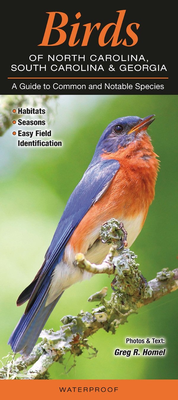 Birds Of North Carolina, South Carolina & Georgia: A Guide To Common & Notable Species,Used