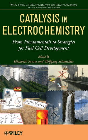 Catalysis in Electrochemistry: From Fundamental Aspects to Strategies for Fuel Cell Development,Used