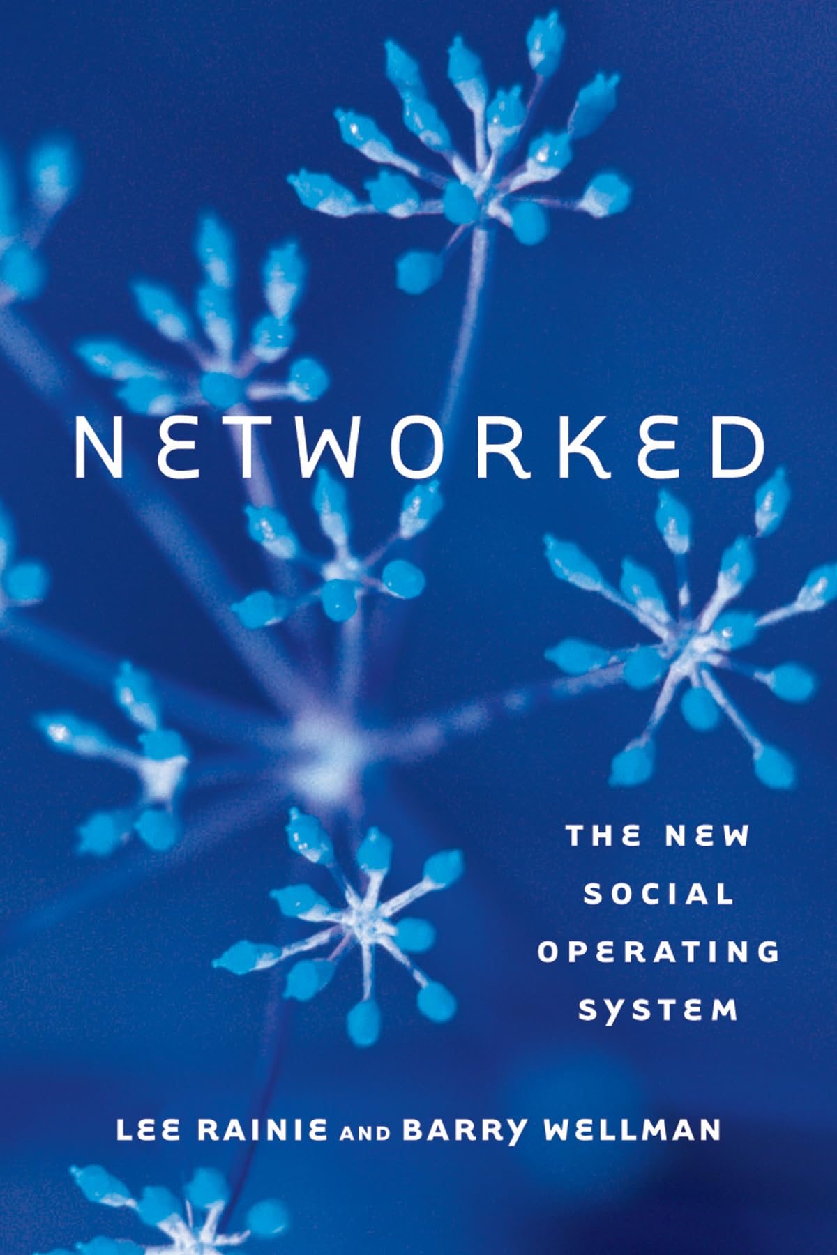 Networked: The New Social Operating System (Mit Press),New