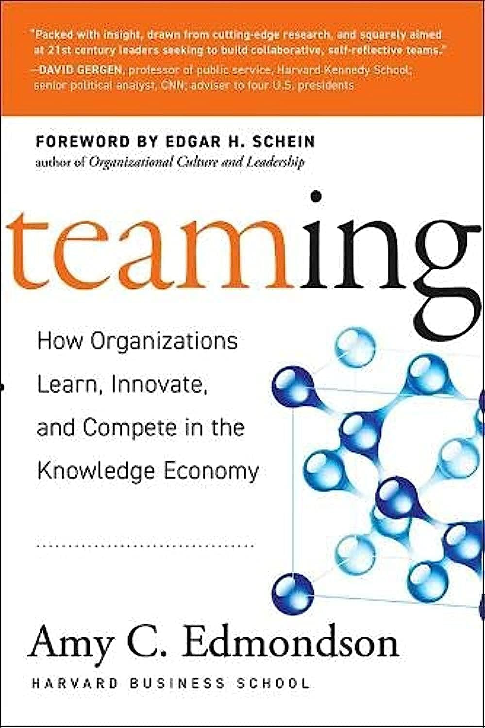 Teaming: How Organizations Learn, Innovate, and Compete in the Knowledge Economy,New