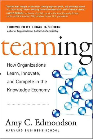 Teaming: How Organizations Learn, Innovate, and Compete in the Knowledge Economy,Used