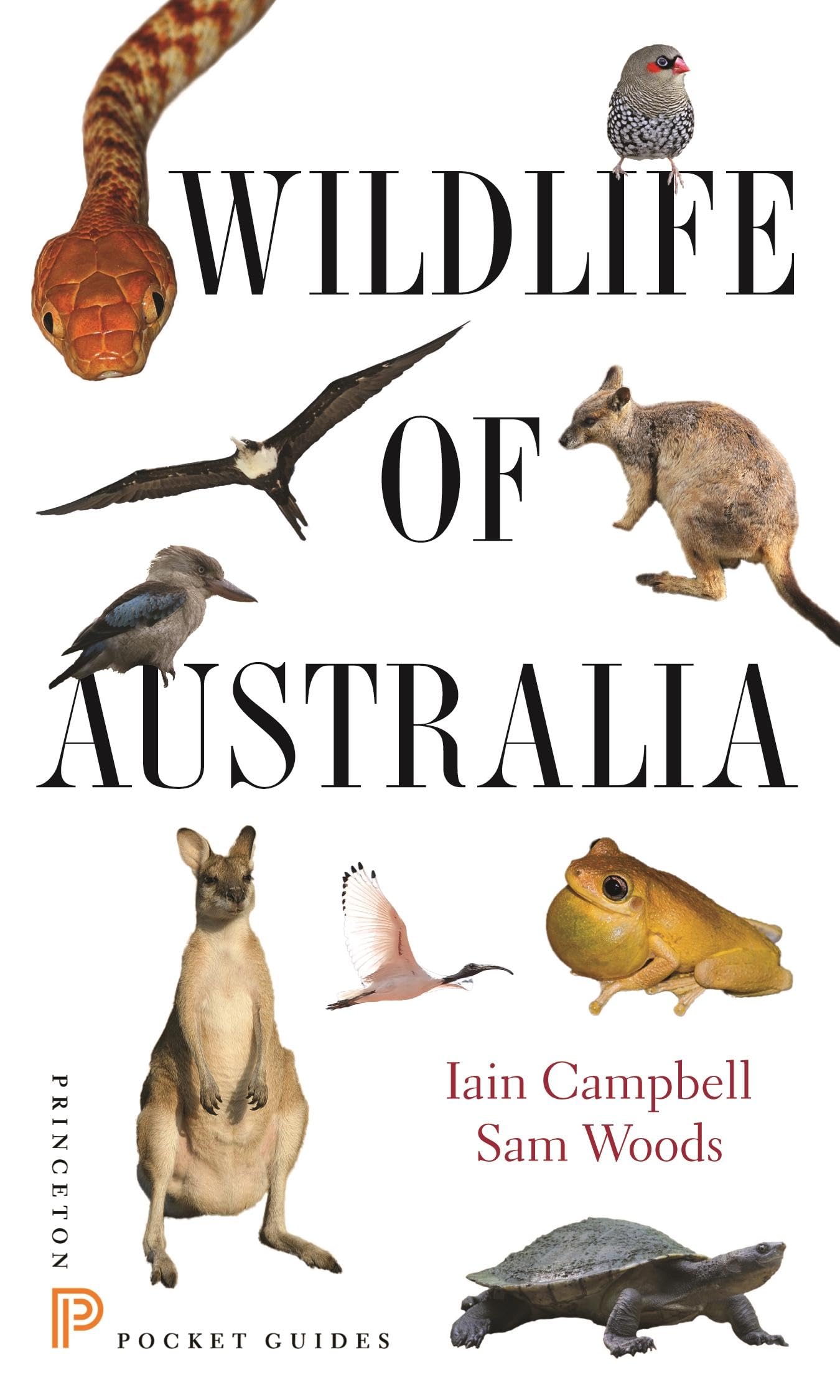 Wildlife Of Australia (Princeton Pocket Guides)