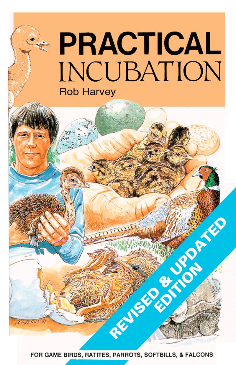 Practical Incubation,Used