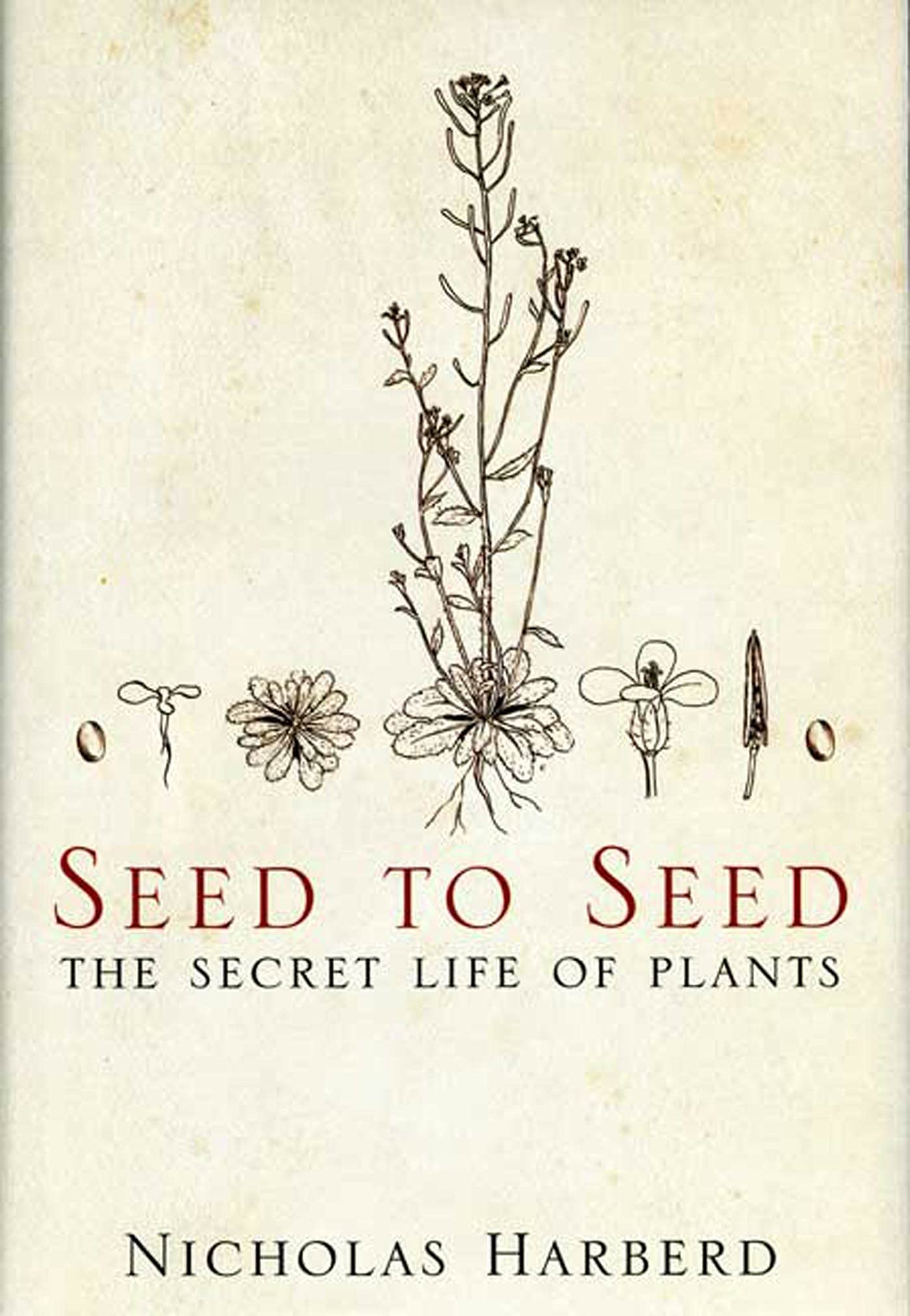 Seed To Seed: The Secret Life Of Plants