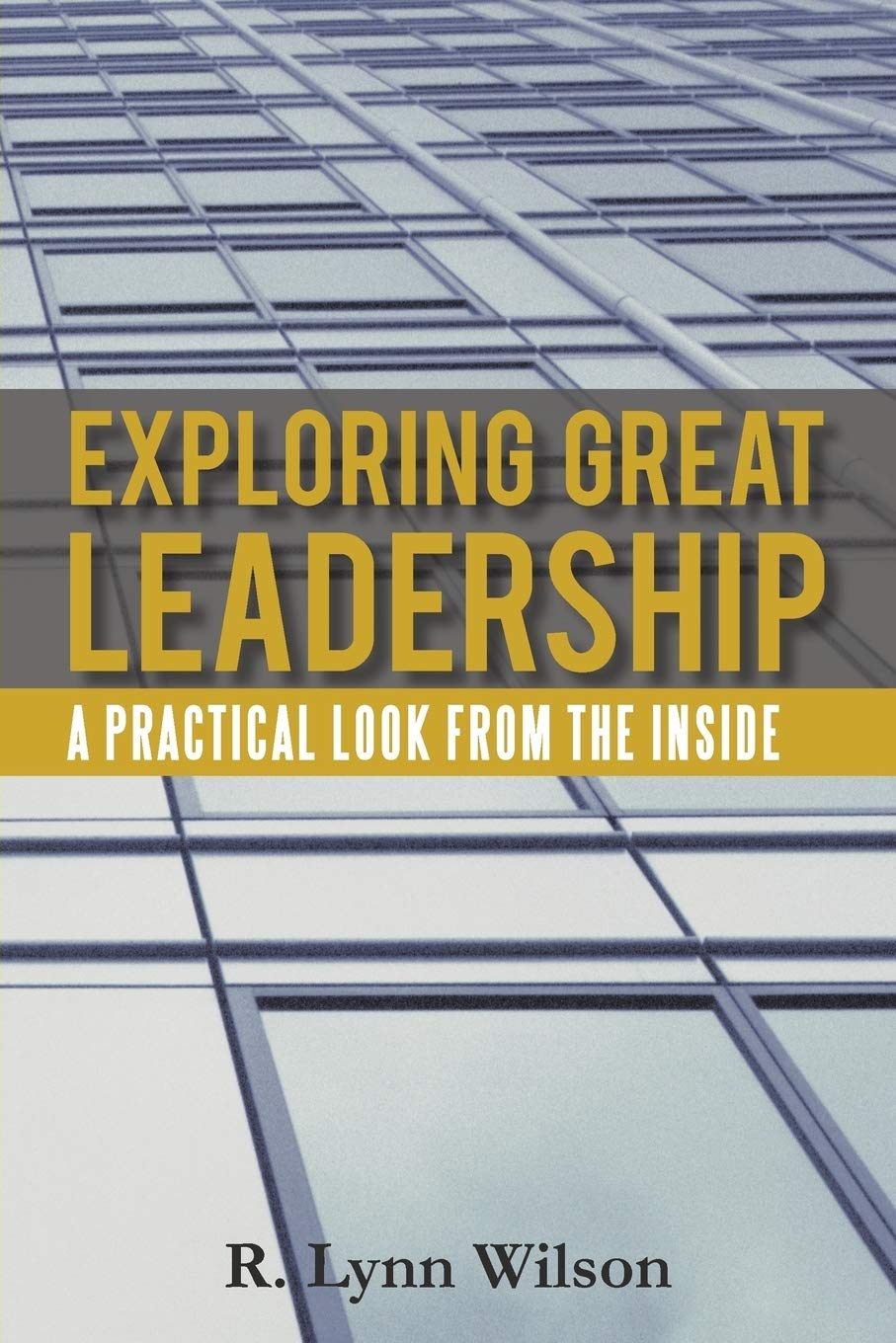 Exploring Great Leadership: A Practical Look From The Inside,Used