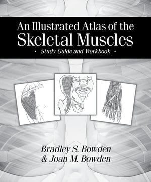 An Illustrated Atlas Of The Skeletal Muscles: Study Guide And Workbook,New