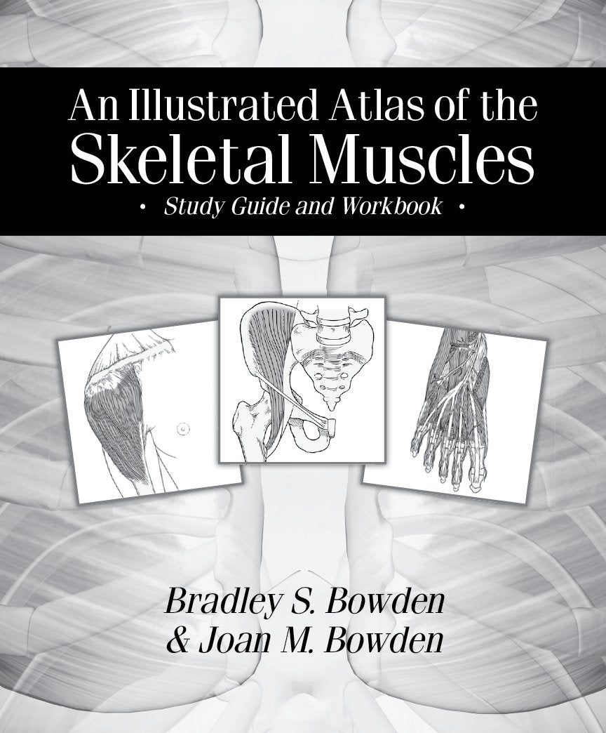 An Illustrated Atlas Of The Skeletal Muscles: Study Guide And Workbook,New