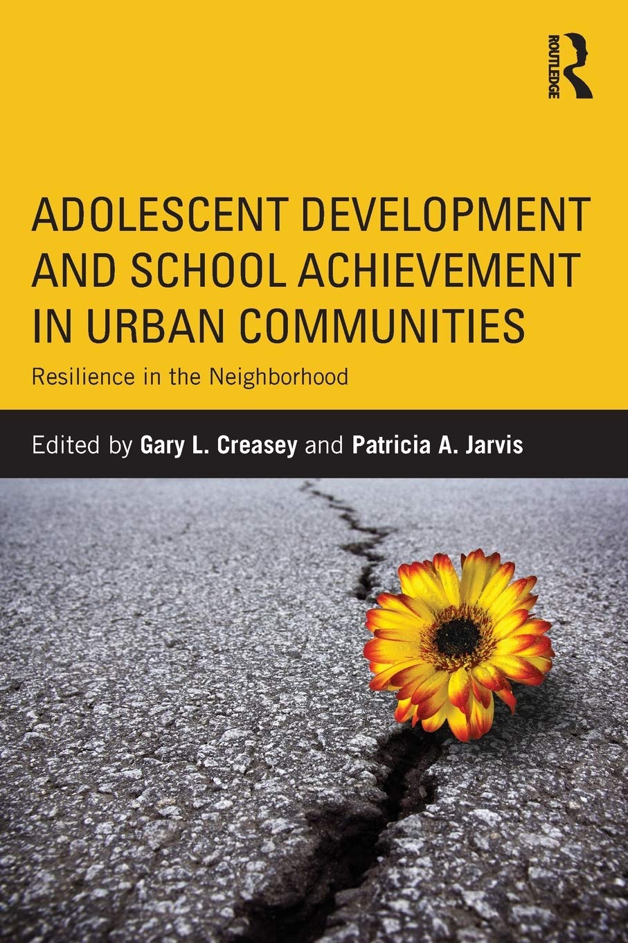 Adolescent Development and School Achievement in Urban Communities,Used