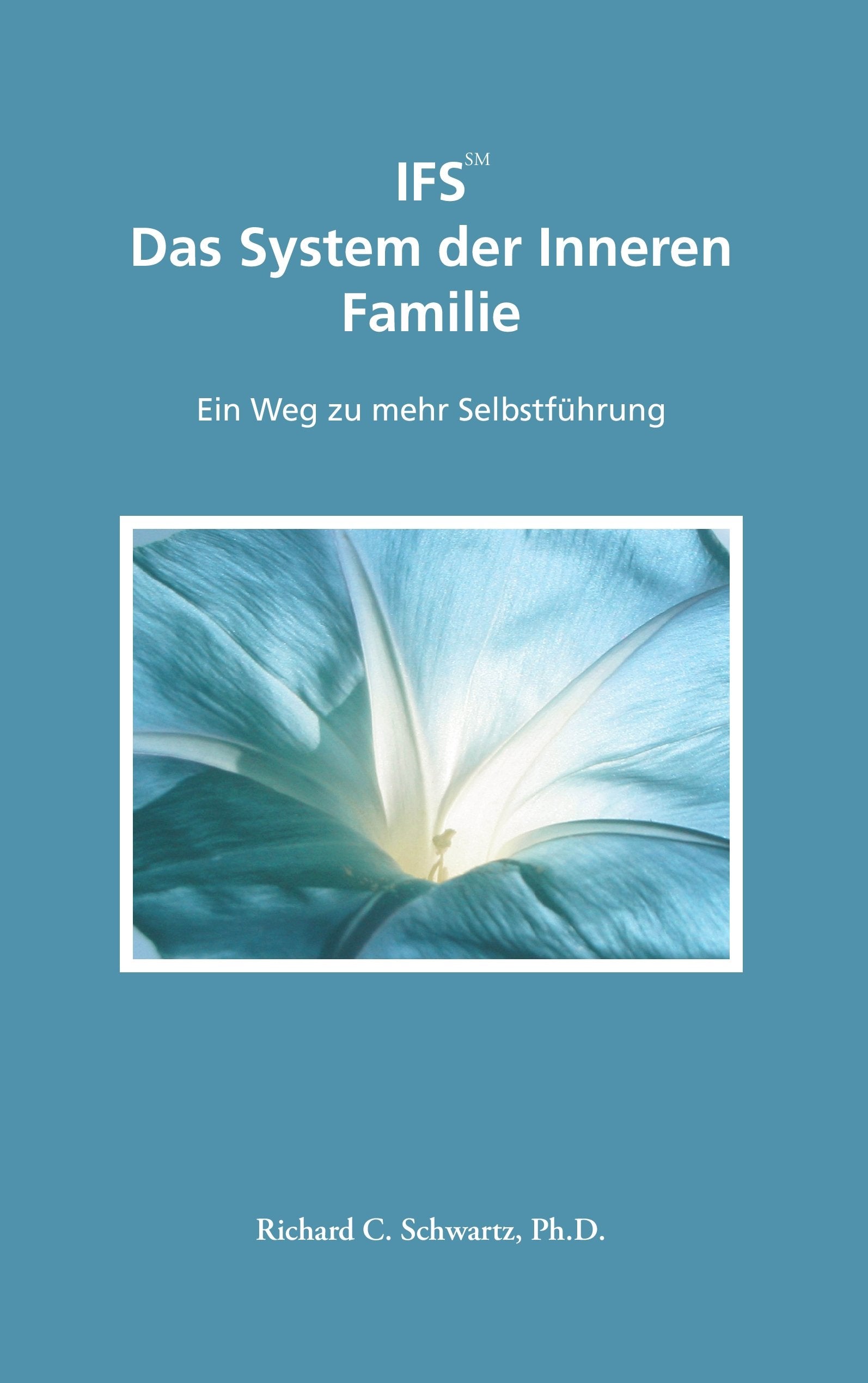 IFS Das System der Inneren Familie (German Edition),Used