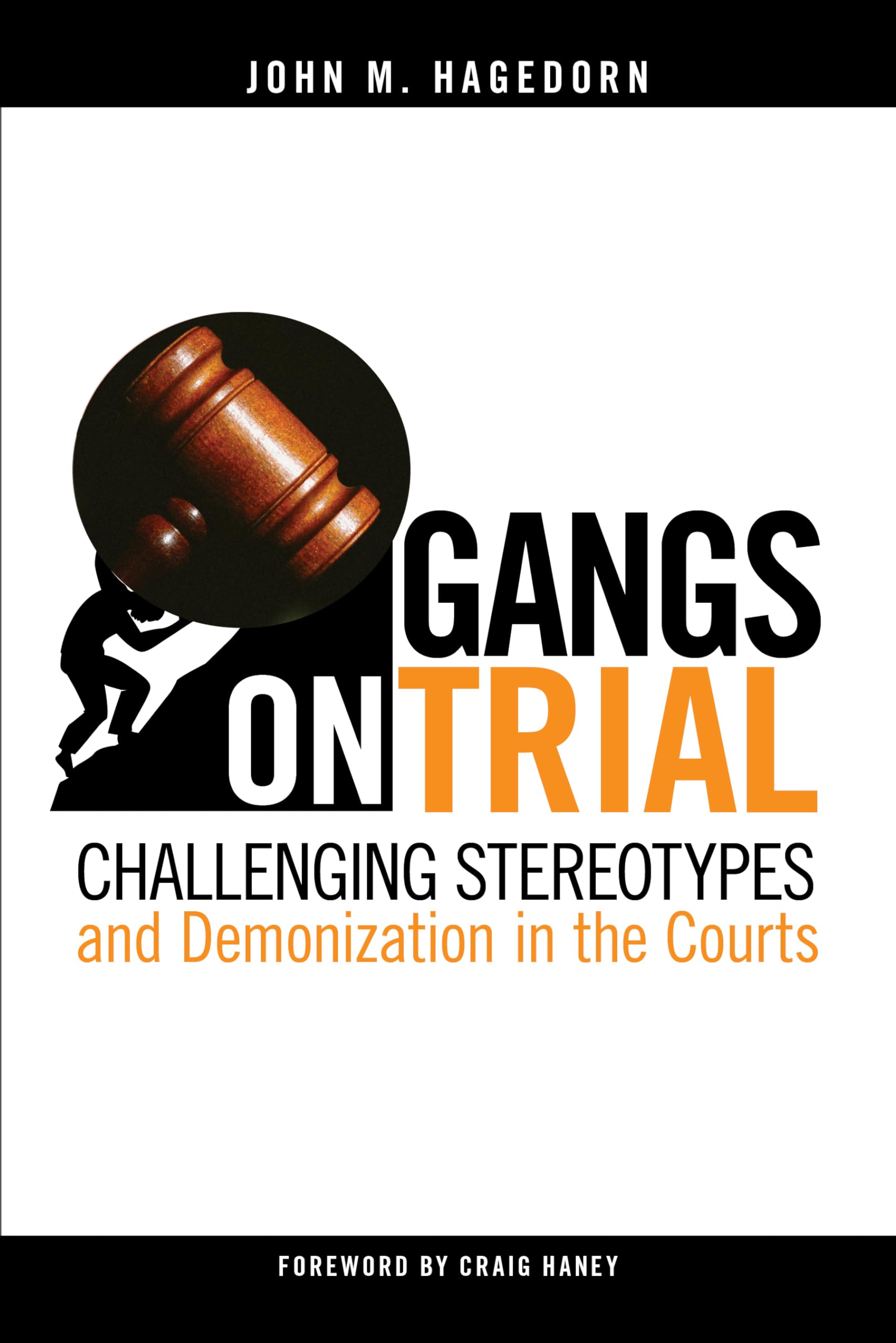 Gangs on Trial: Challenging Stereotypes and Demonization in the Courts (Studies in Transgression),Used