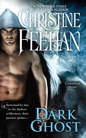 Dark Ghost (A Carpathian Novel),Used