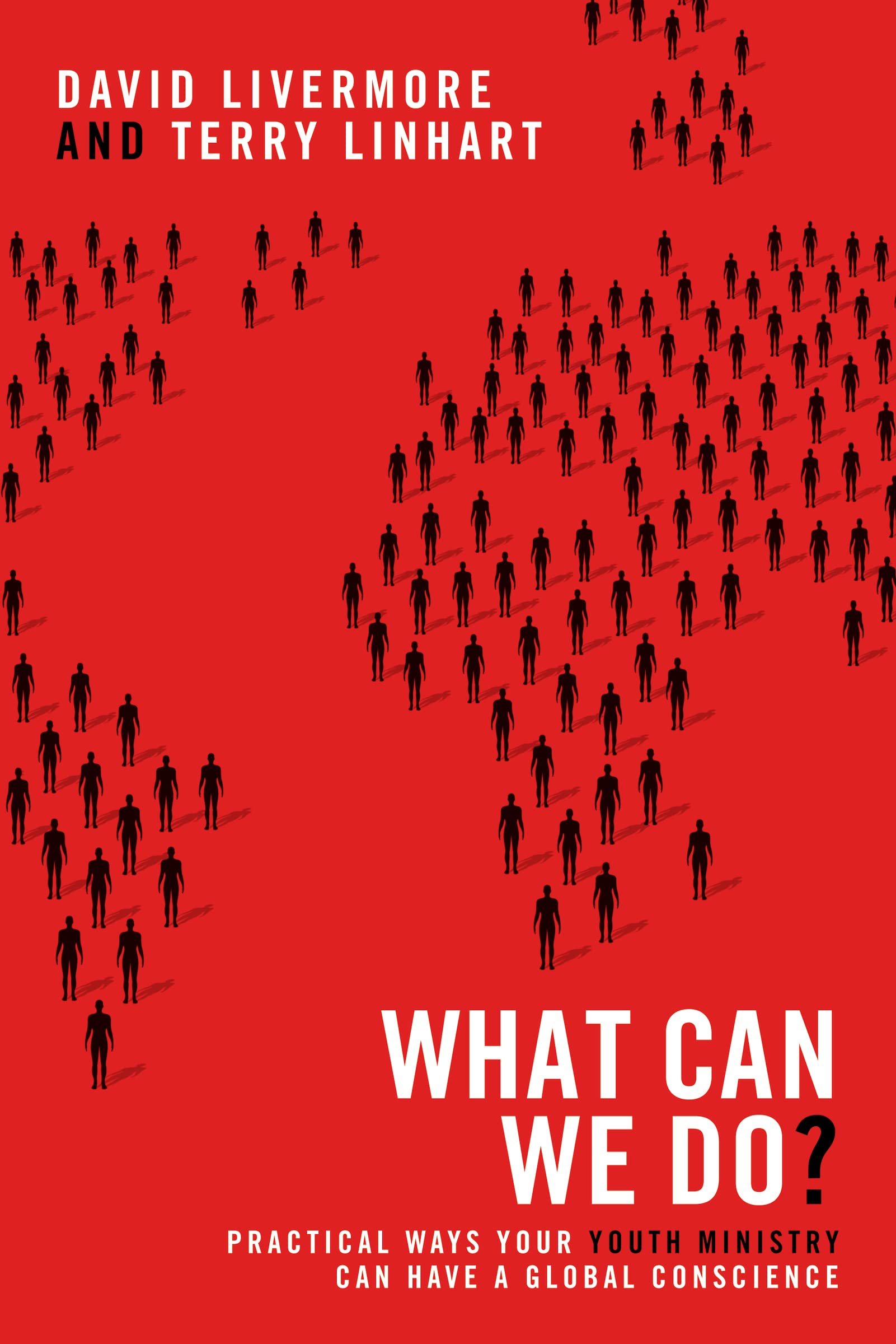 What Can We Do?: Practical Ways Your Youth Ministry Can Have a Global Conscience,Used