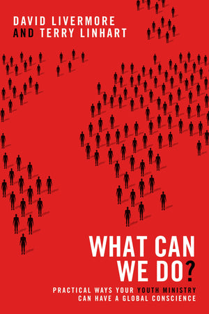 What Can We Do?: Practical Ways Your Youth Ministry Can Have a Global Conscience,Used