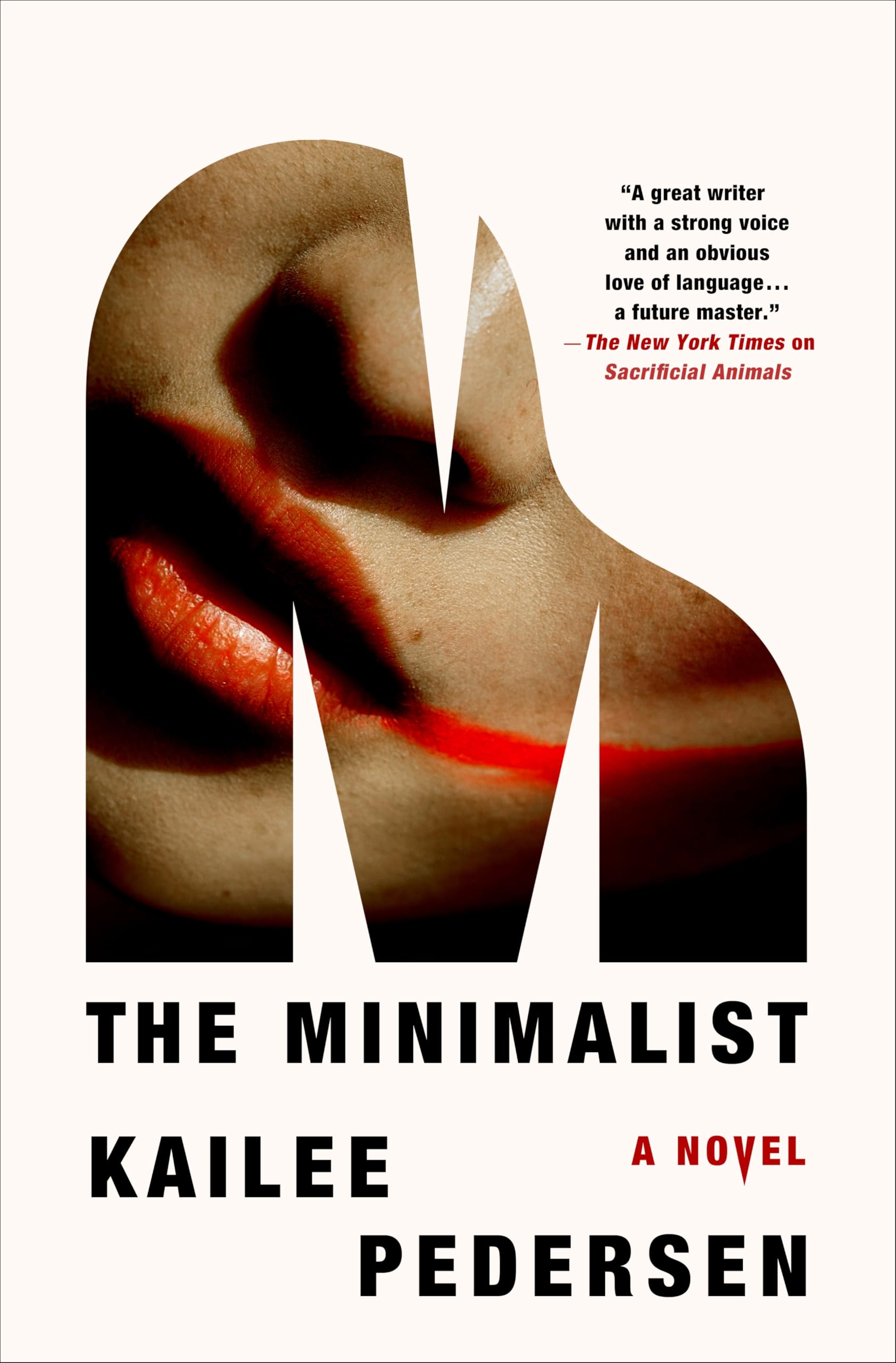 The Minimalist: A Novel