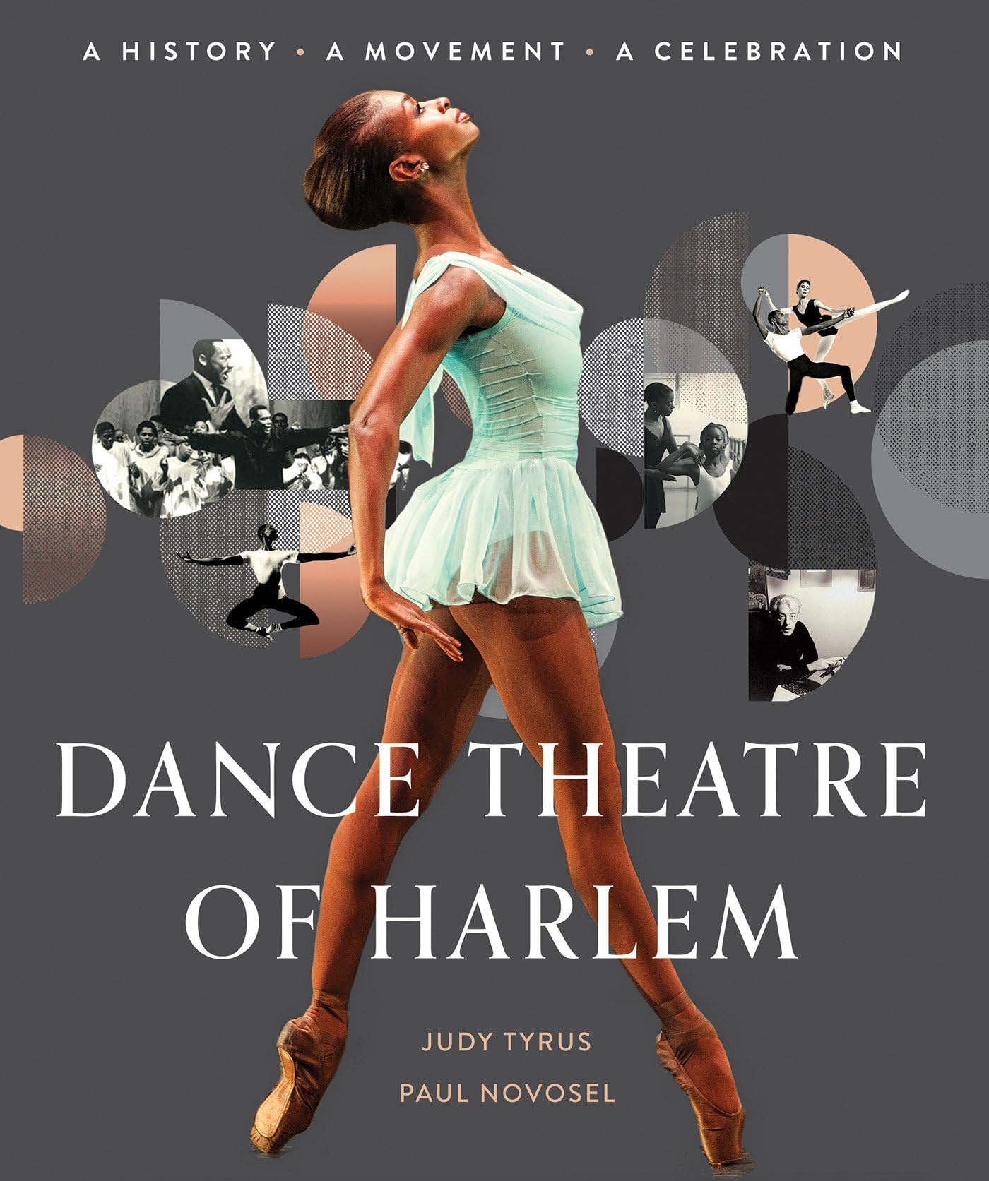Dance Theatre of Harlem: A History, A Movement, A Celebration,Used