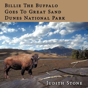 Billie the Buffalo Goes to Great Sand Dunes National Park,Used