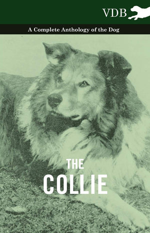 The Collie  A Complete Anthology Of The Dog ,Used