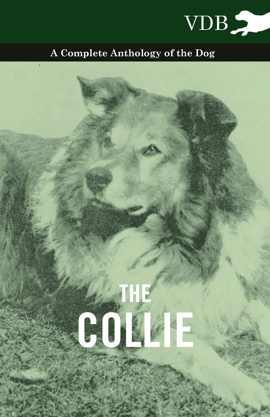 The Collie  A Complete Anthology Of The Dog ,Used
