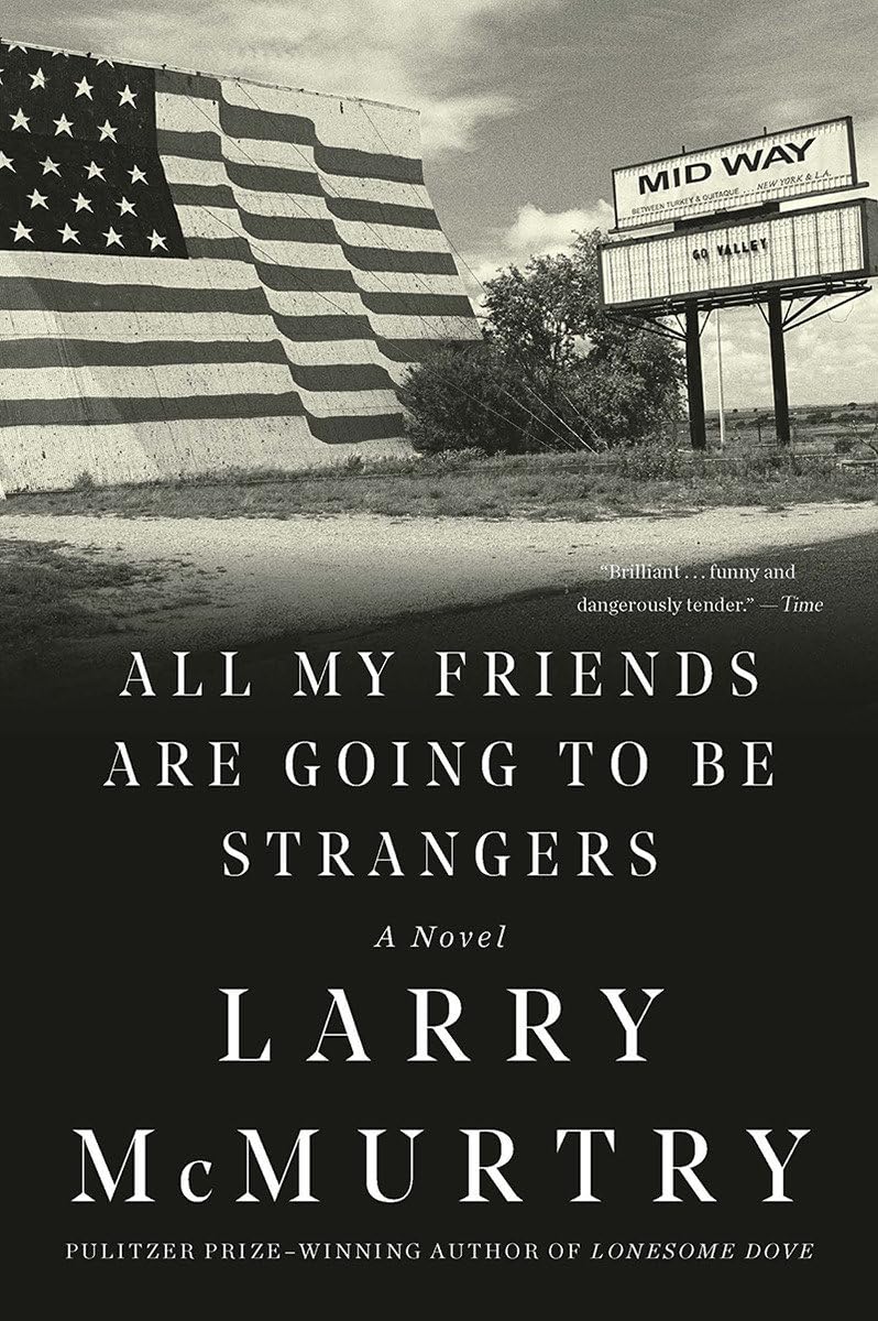 All My Friends Are Going to Be Strangers: A Novel,Used