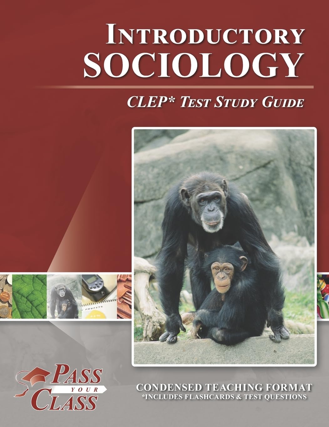 Introductory Sociology CLEP Test Study Guide,Used