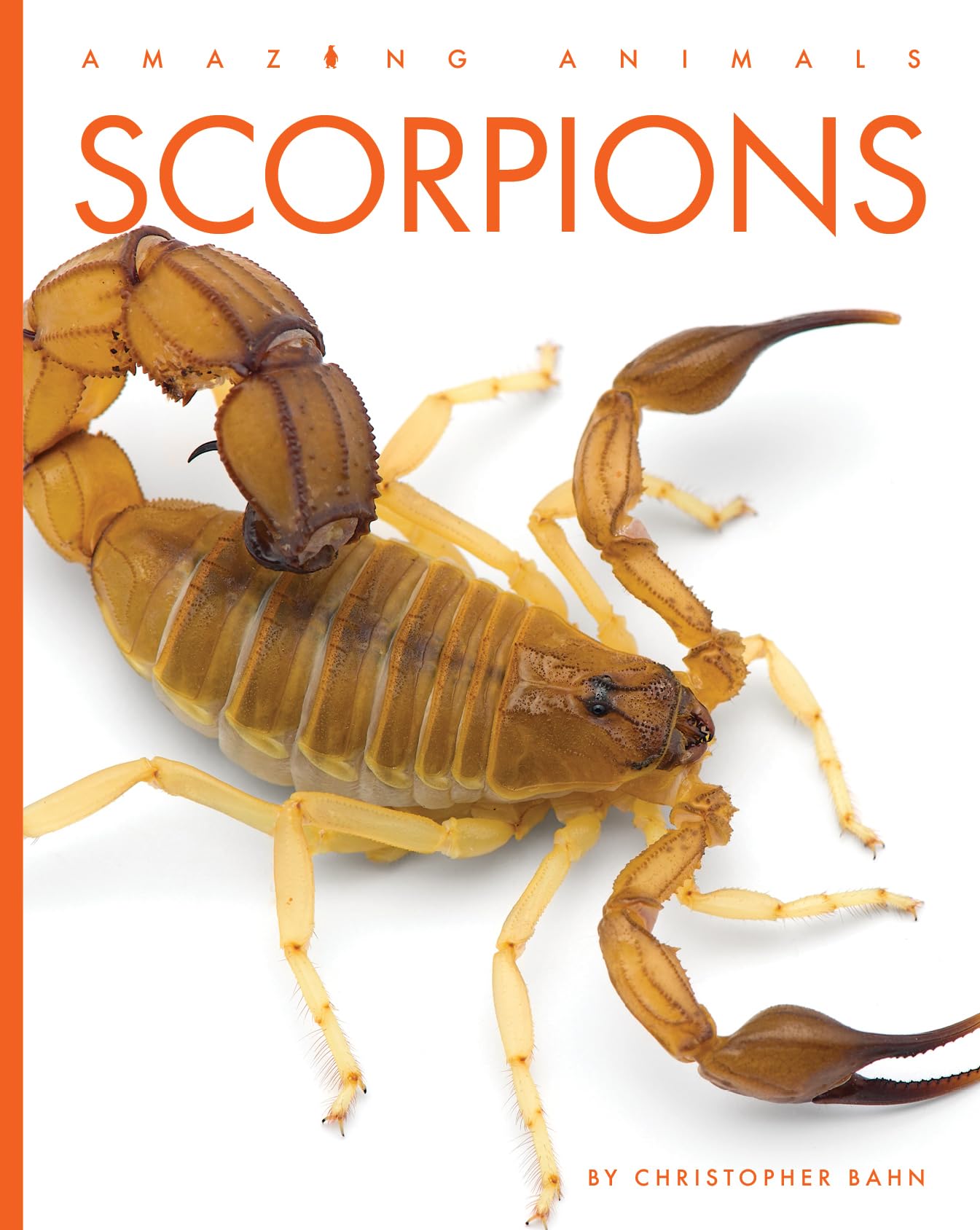 SCORPIONS