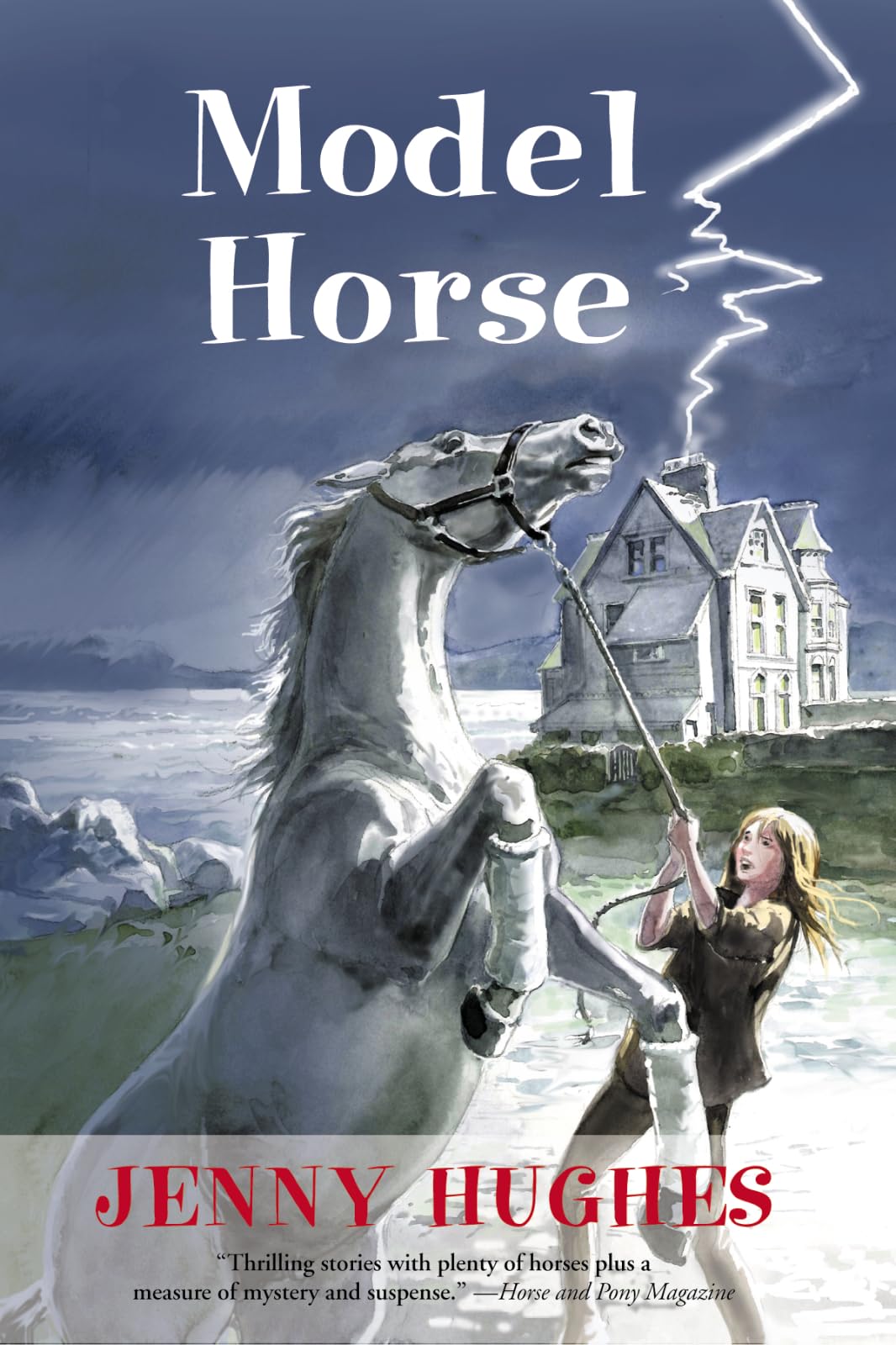 Model Horse,Used